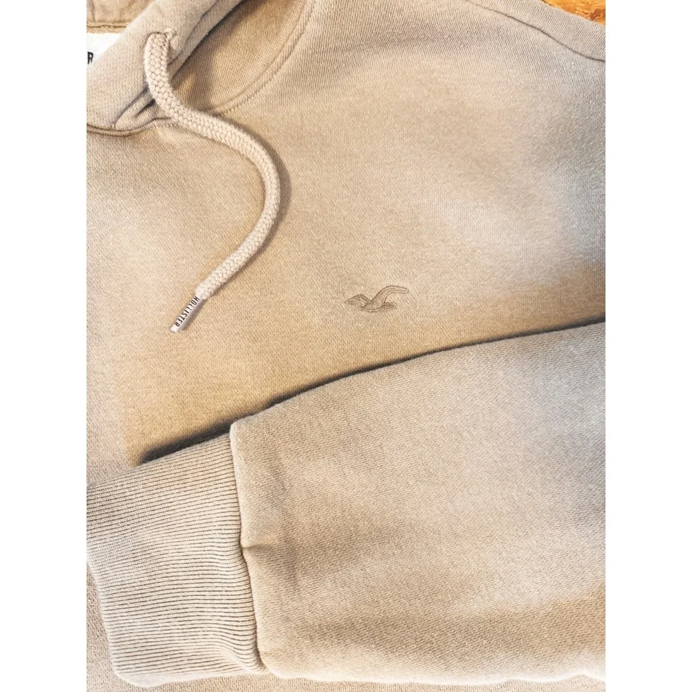 Hollister Mens Medium Tan Brown  Hoodie Embroidered Seagull‎ Logo Pullover